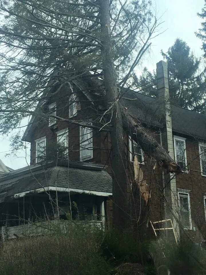 Custom yard maintenance for beautiful yards across Stroudsburg, PA - Cut & Go Tree Care