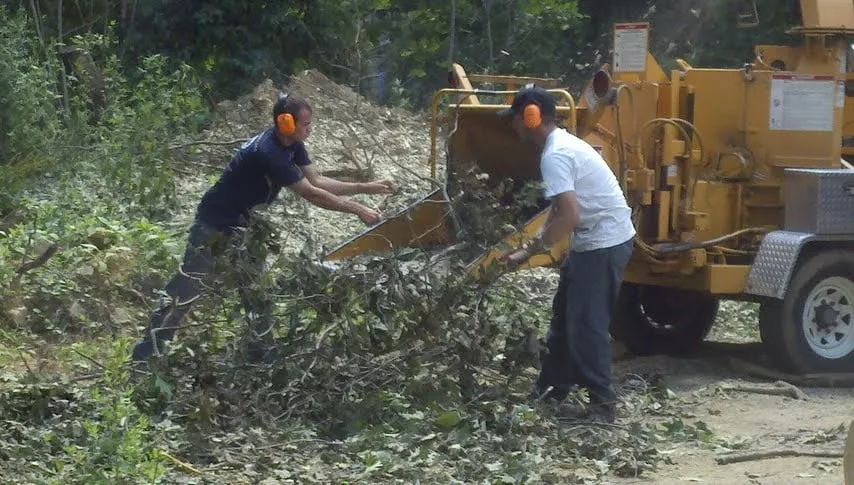 Trusted landscaping services in Stroudsburg, PA by Cut & Go Tree Care