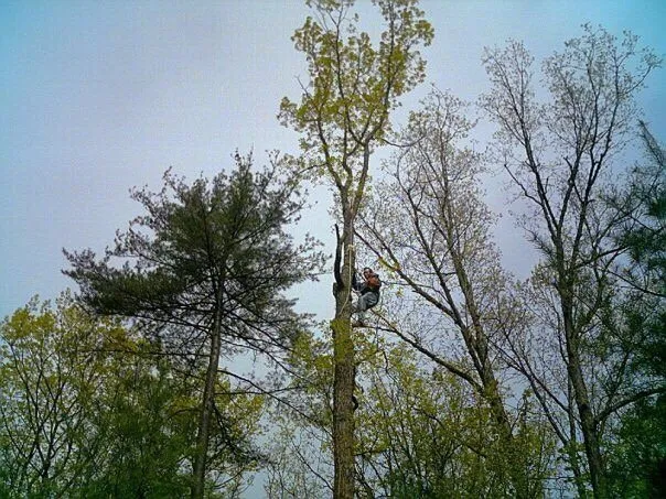 Reliable lawn mowing service for beautiful yards across Stroudsburg, PA - Cut & Go Tree Care