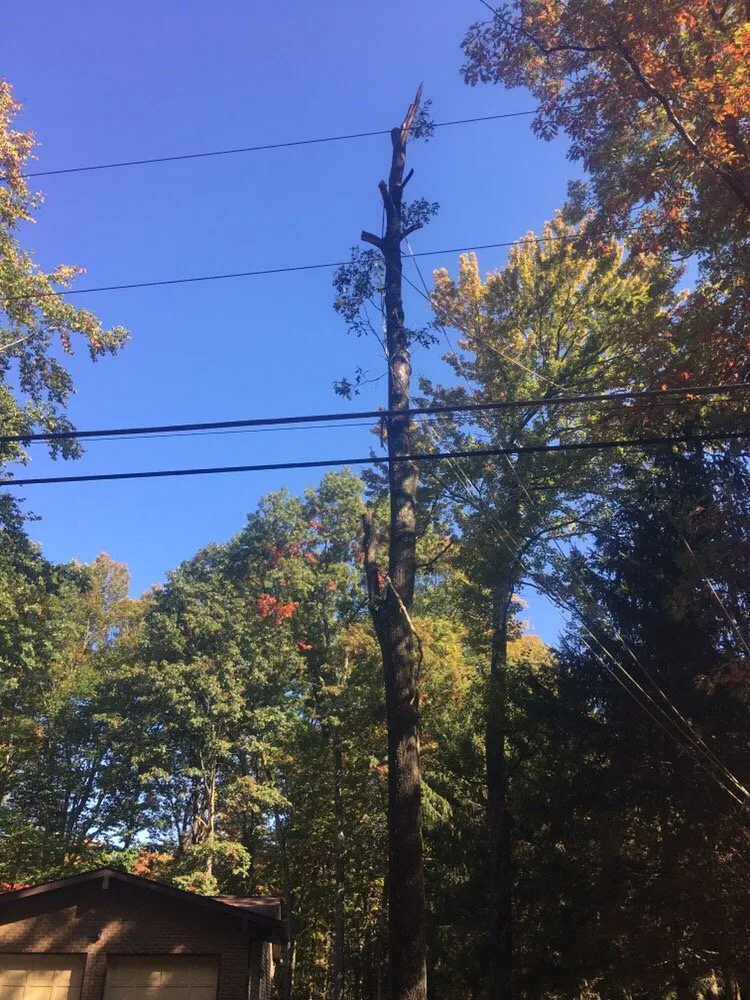 Local residential landscaping near you across Stroudsburg, PA - Cut & Go Tree Care