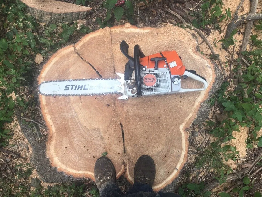 Reliable landscape installation in Stroudsburg, PA - Cut & Go Tree Care