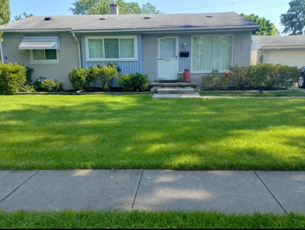 Affordable yard cleanup service in Clinton Township, MI by Cut & Shine