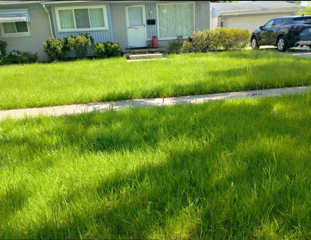 Top-rated residential landscaping in Clinton Township, MI - Cut & Shine