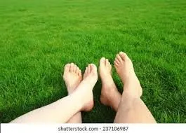 Expert residential landscaping in Hudsonville, MI by Cut & Trim Lawncare