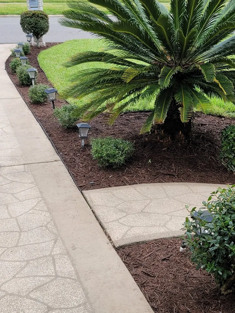 Local residential landscaping for residential properties in Orange Park, FL by Cut 4 You Landscaping