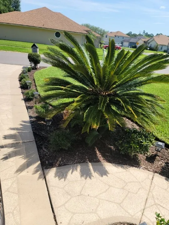 Local landscaping services for residential properties in Orange Park, FL by Cut 4 You Landscaping