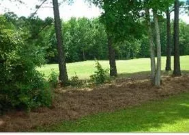 Top-rated landscaping services experts serving Myrtle Beach, SC - Cut A Way Lawns & Property Service