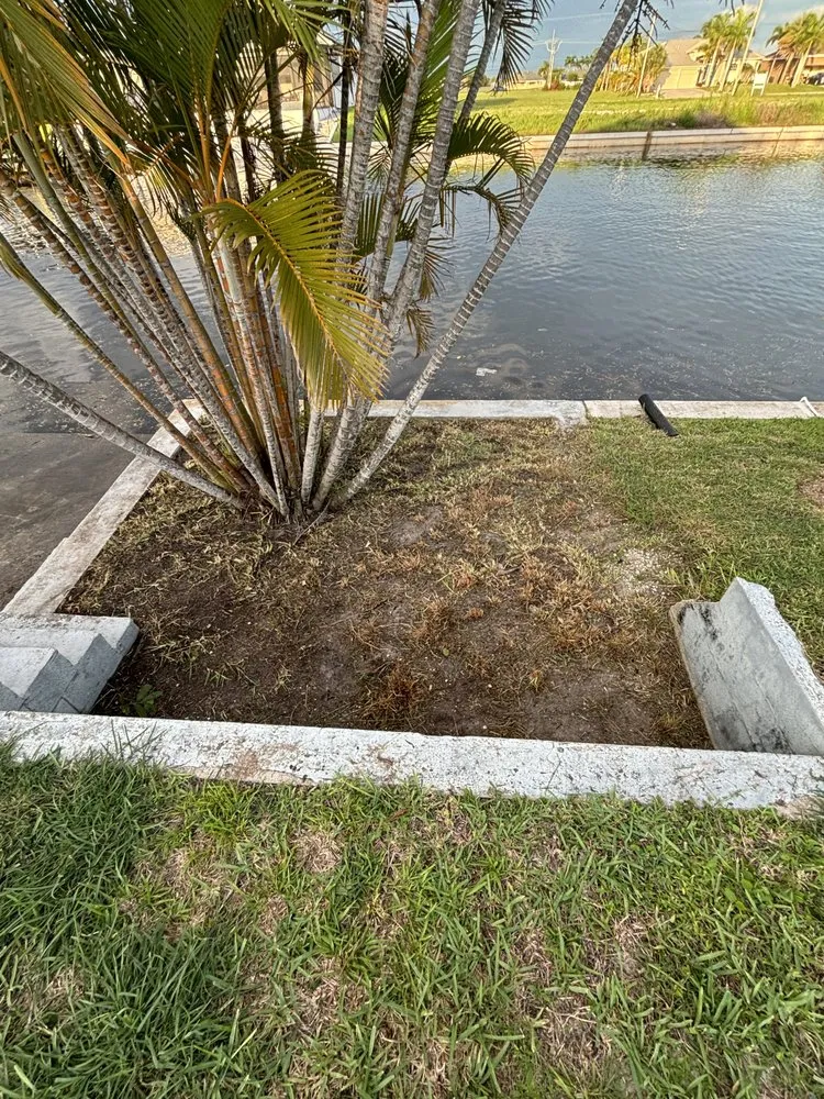 Affordable landscape installation experts serving Cape Coral, FL - Cut Above Landscaping & Services