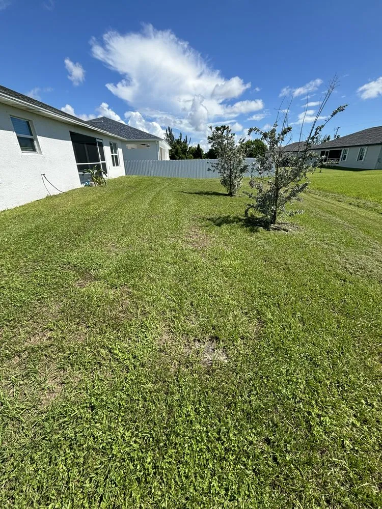 Custom outdoor landscaping in Cape Coral, FL by Cut Above Landscaping & Services