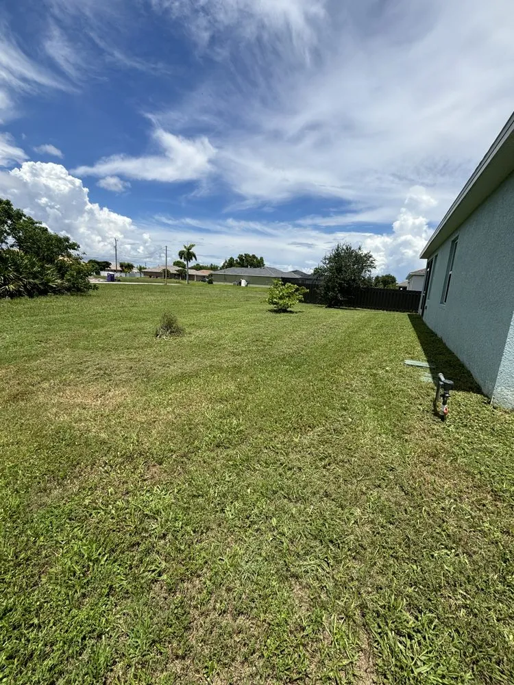 Top-rated landscape design in Cape Coral, FL by Cut Above Landscaping & Services