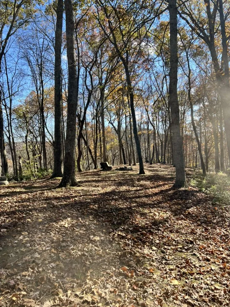 Local outdoor landscaping experts serving Wellston, OH - Cut Above Lawn and Tree