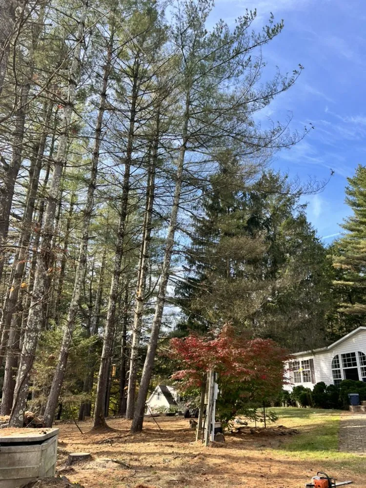 Professional garden landscaping experts serving Wellston, OH - Cut Above Lawn and Tree