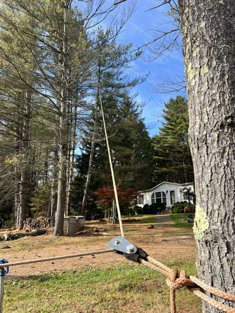 Custom residential landscaping for year-round maintenance in Wellston, OH by Cut Above Lawn and Tree