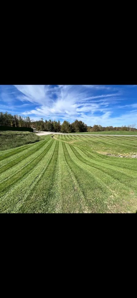 Custom lawn care service for homes across Wellston, OH - Cut Above Lawn and Tree