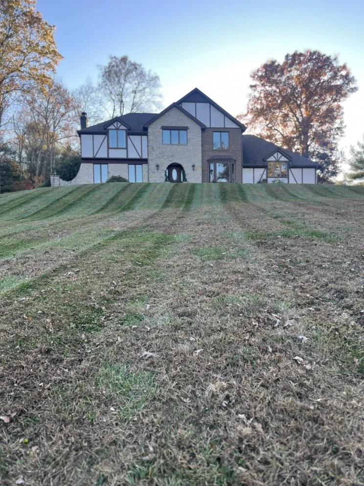 Custom yard cleanup service for beautiful yards across Wellston, OH - Cut Above Lawn and Tree