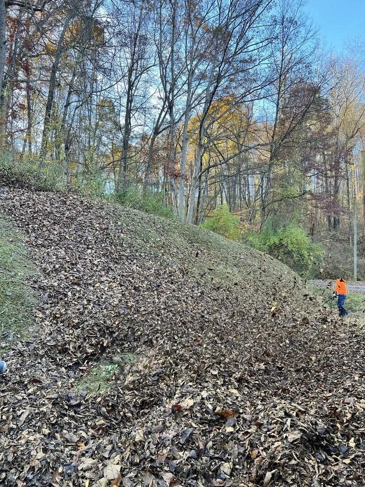 Top-rated lawn mowing service in Wellston, OH by Cut Above Lawn and Tree