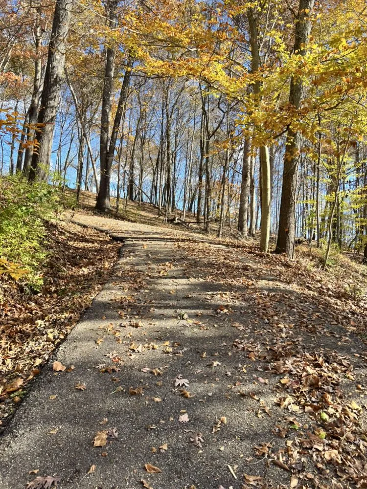 Top-rated lawn care service in Wellston, OH - Cut Above Lawn and Tree