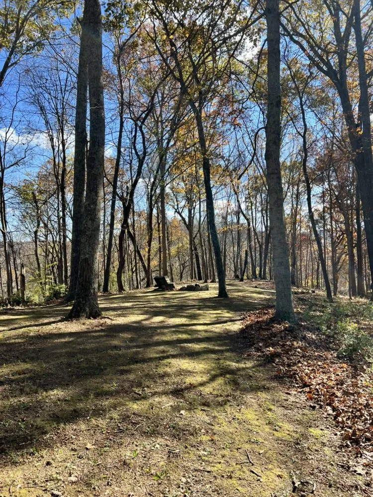 Affordable lawn mowing service for beautiful yards in Wellston, OH by Cut Above Lawn and Tree