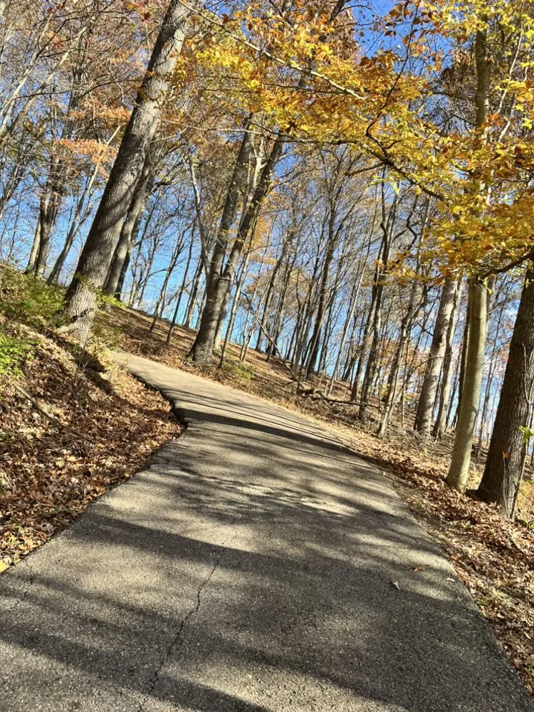 Affordable landscape design in Wellston, OH by Cut Above Lawn and Tree