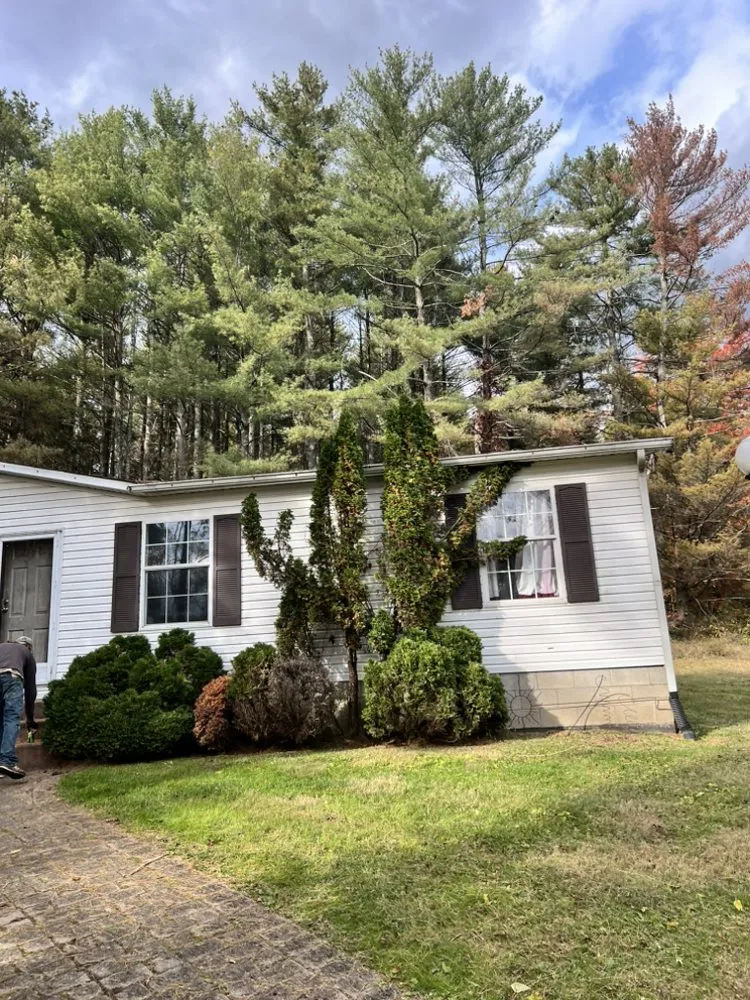 Trusted lawn mowing service in Wellston, OH by Cut Above Lawn and Tree