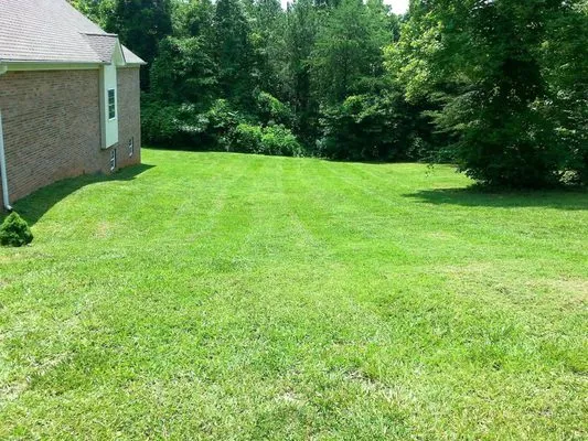 Cut Above Lawn Care Logo