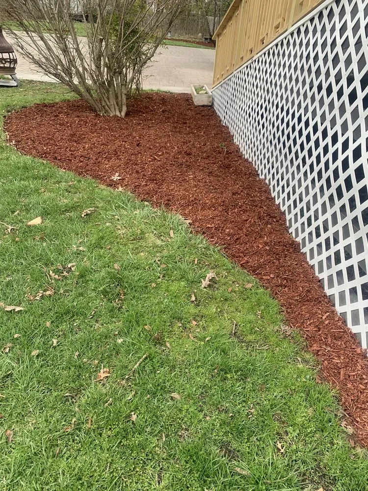 Custom yard cleanup service for year-round maintenance across Princeton, WV - Cut Above