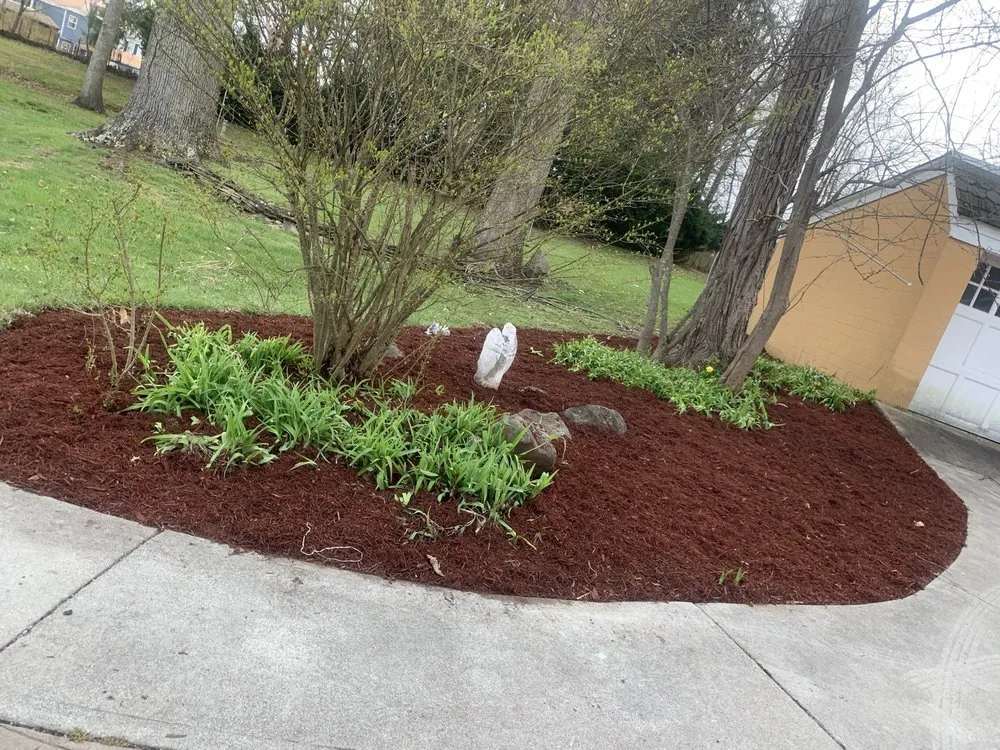 Trusted yard cleanup service for homes in Princeton, WV by Cut Above