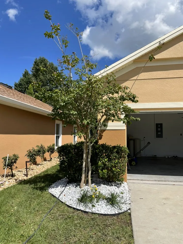 Professional outdoor landscaping with custom design across Port Orange, FL - Cut Above The Rest