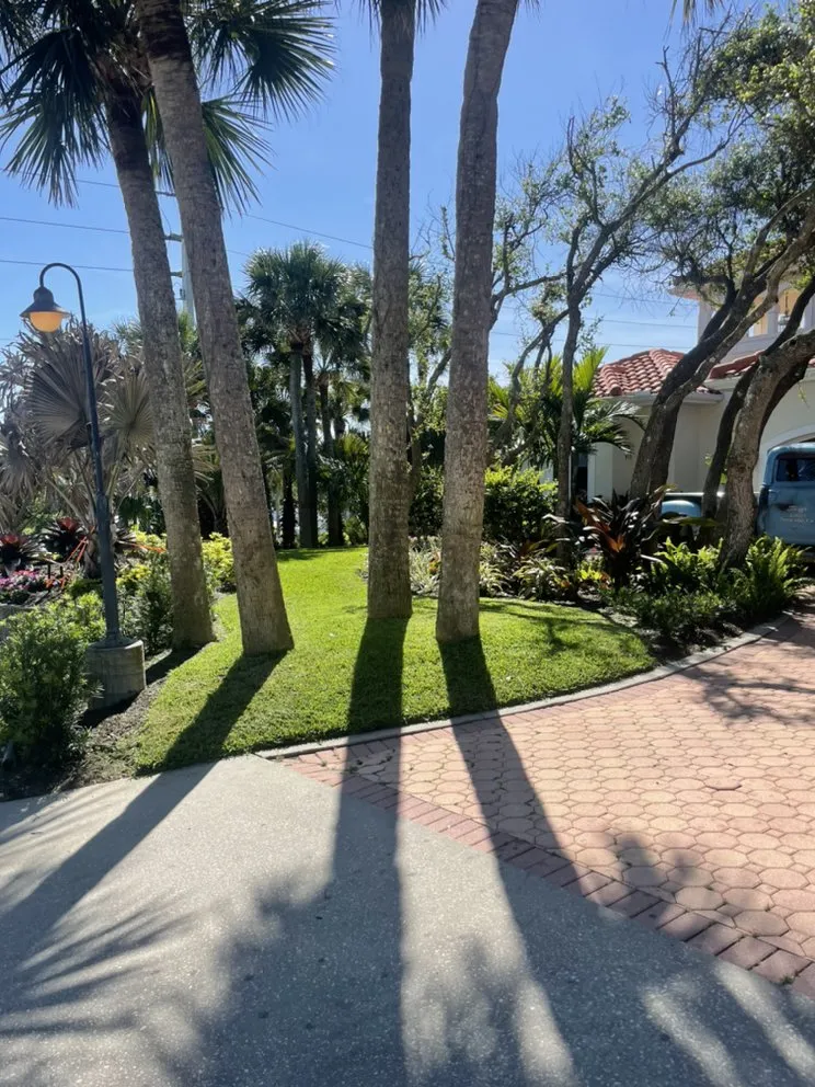 Trusted garden landscaping in Port Orange, FL by Cut Above The Rest