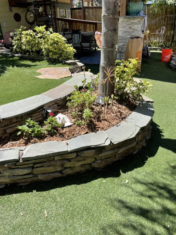 Trusted yard cleanup service experts serving Port Orange, FL - Cut Above The Rest