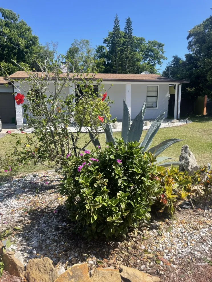 Local residential landscaping experts serving Port Orange, FL - Cut Above The Rest