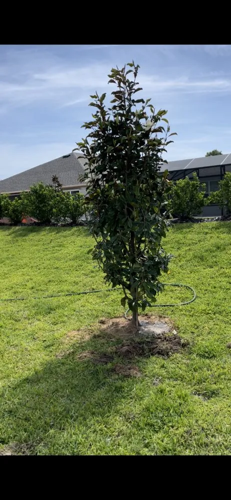 Professional lawn mowing service in Port Orange, FL by Cut Above The Rest