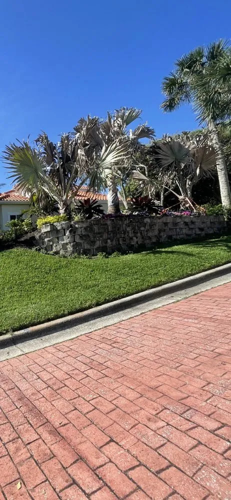 Custom lawn mowing service experts serving Port Orange, FL - Cut Above The Rest