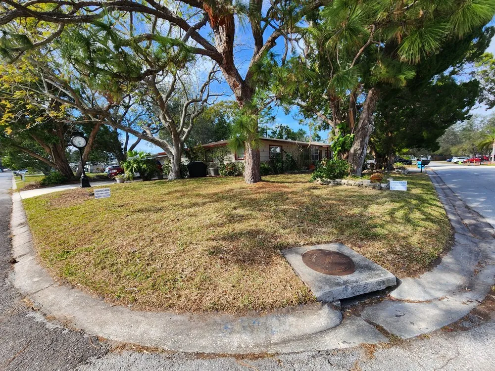 Top-rated residential landscaping experts serving Seminole, FL - Cut Above The Rest