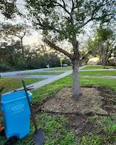 Affordable residential landscaping in Seminole, FL - Cut Above The Rest
