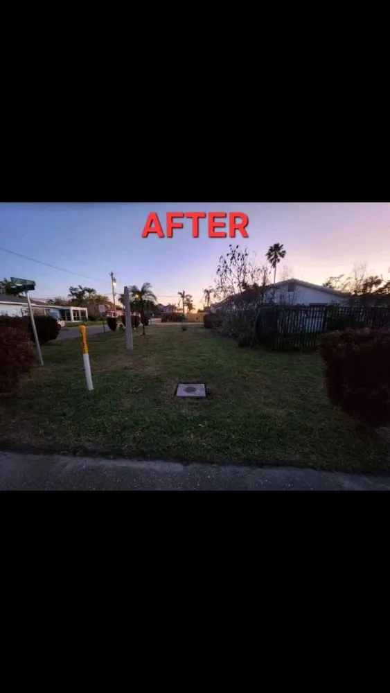 Affordable lawn care service in Seminole, FL - Cut Above The Rest