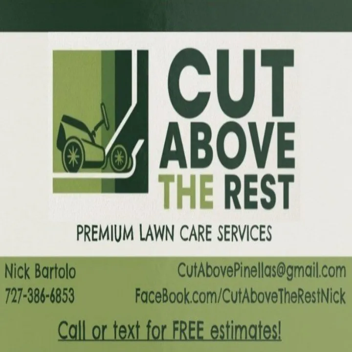 Top-rated yard cleanup service experts serving Seminole, FL - Cut Above The Rest