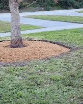 Local garden landscaping in Seminole, FL - Cut Above The Rest