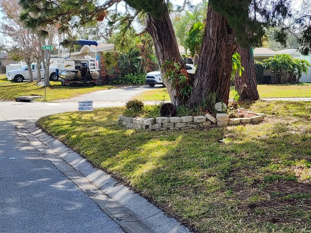 Affordable residential landscaping in Seminole, FL - Cut Above The Rest