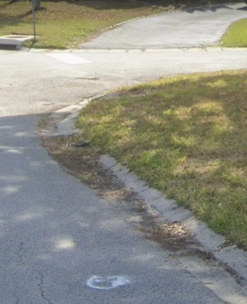 Expert yard cleanup service in Seminole, FL - Cut Above The Rest