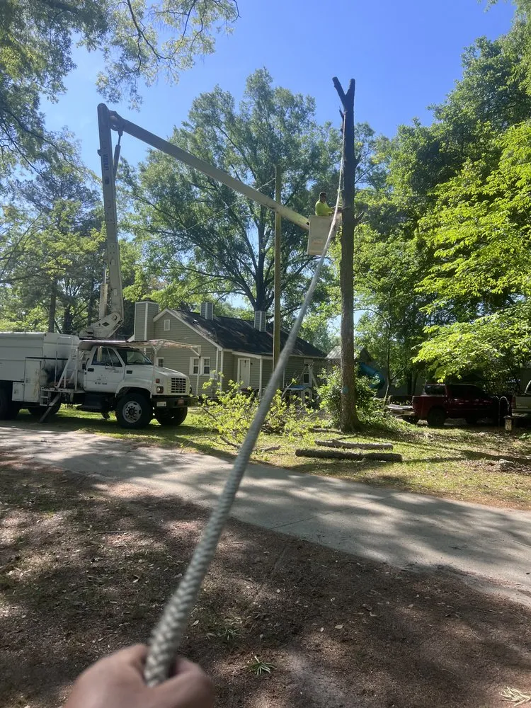 Expert garden landscaping in Shannon, NC by Cut Above The Rest