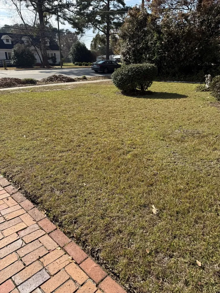 Professional lawn mowing service experts serving Shannon, NC - Cut Above The Rest