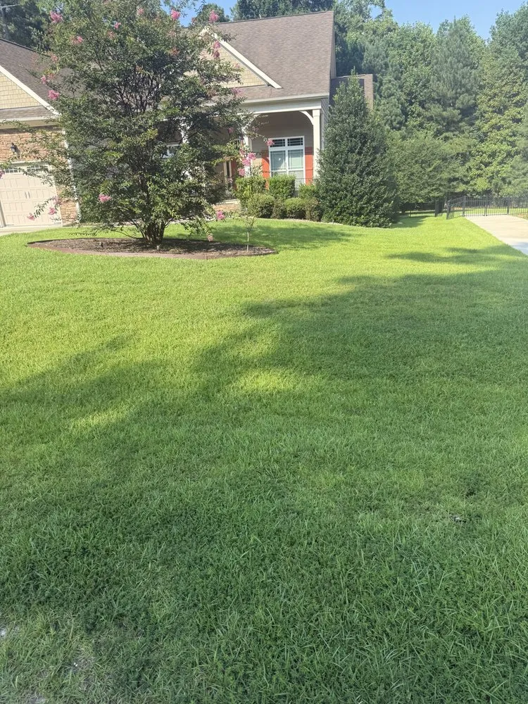 Local residential landscaping near you in Shannon, NC by Cut Above The Rest