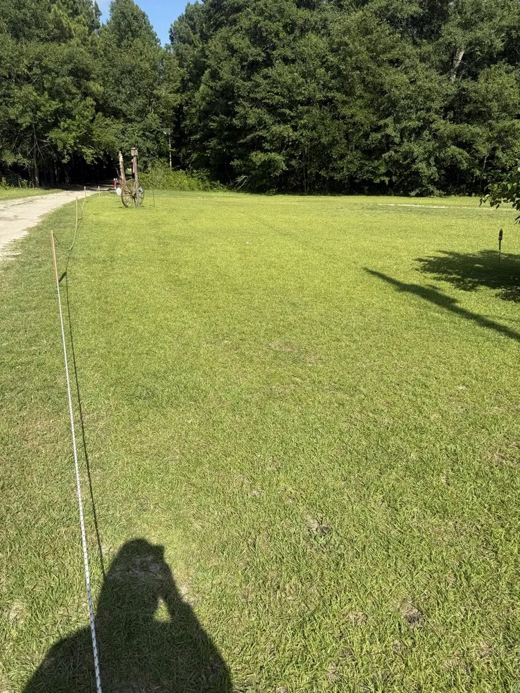Expert landscaping services in Shannon, NC by Cut Above The Rest