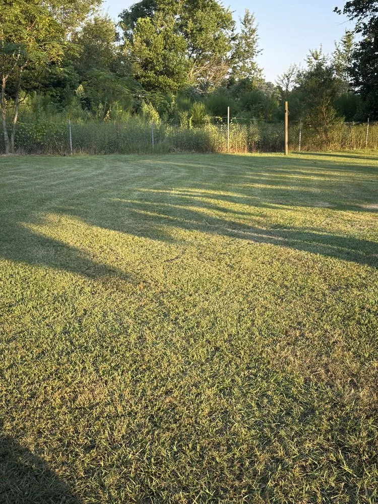 Reliable garden landscaping in Shannon, NC by Cut Above The Rest