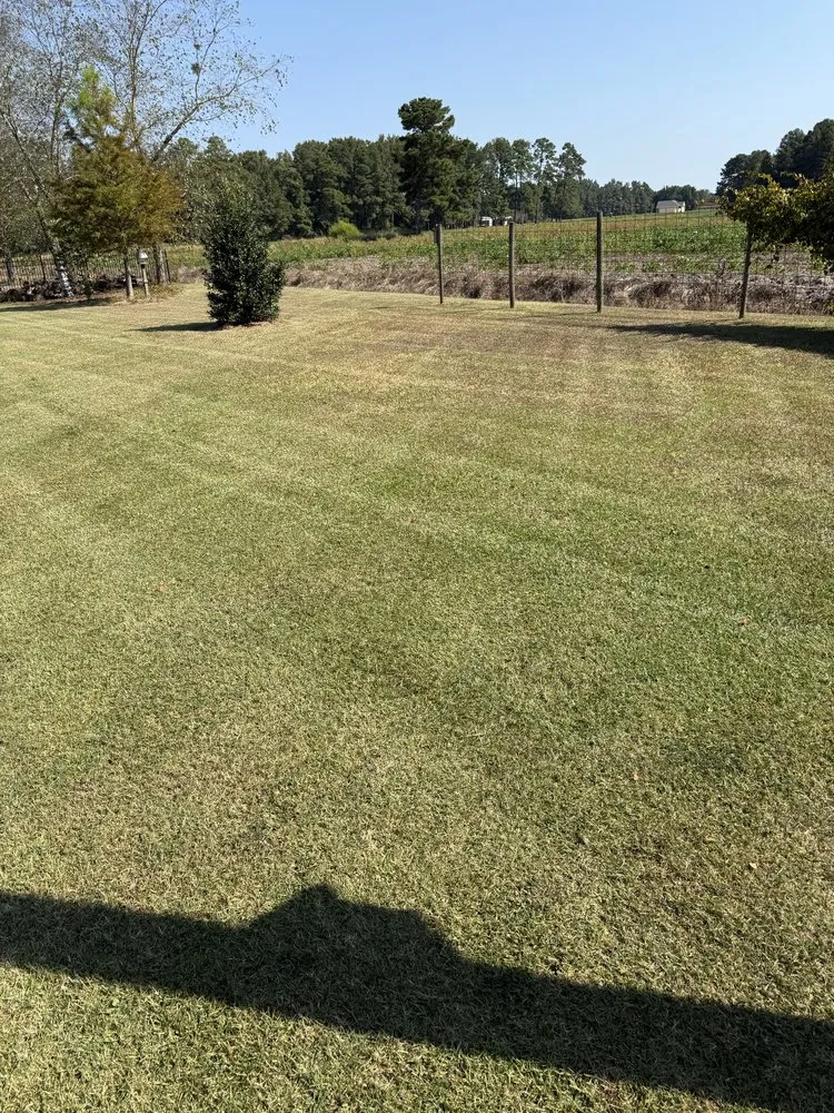 Professional lawn mowing service experts serving Shannon, NC - Cut Above The Rest