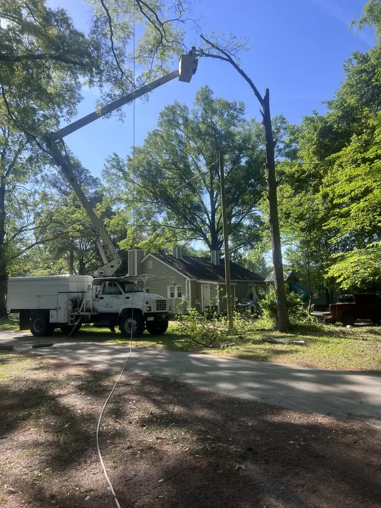 Custom garden landscaping in Shannon, NC - Cut Above The Rest