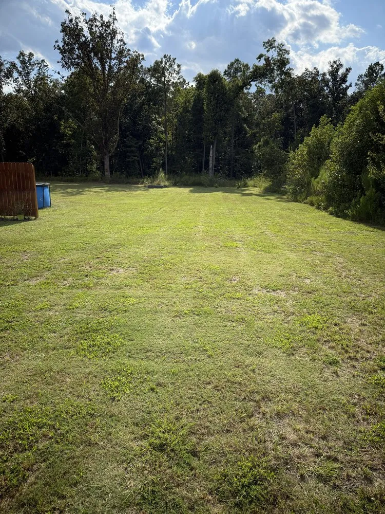 Professional garden landscaping experts serving Shannon, NC - Cut Above The Rest