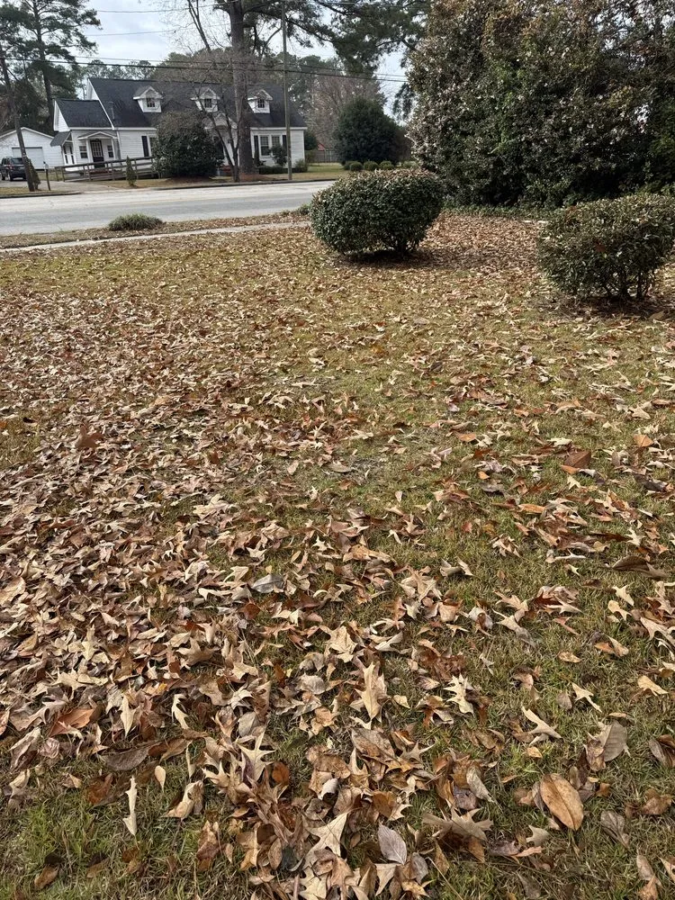 Custom outdoor landscaping near you in Shannon, NC by Cut Above The Rest