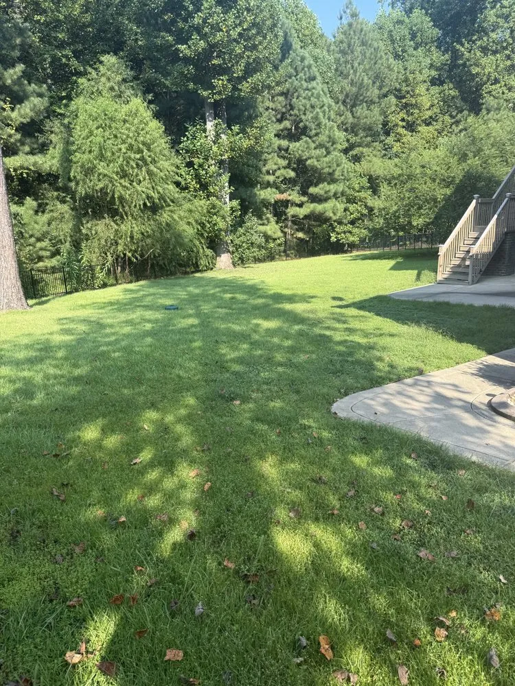 Professional outdoor landscaping near you in Shannon, NC by Cut Above The Rest
